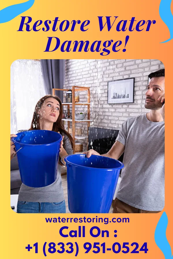 water restoration Titan Water Damage Specialists Oak Lawn