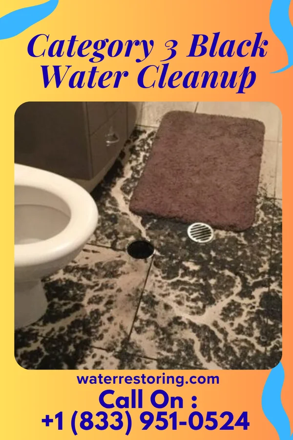 Category 3 Black Water Cleanup in Oak Lawn, IL