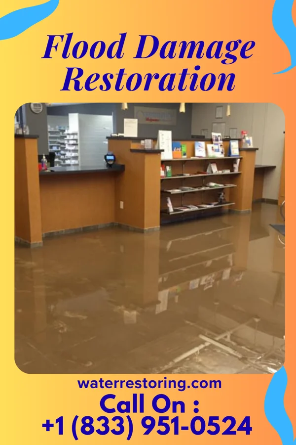 Flood Damage Restoration in Oak Lawn, IL