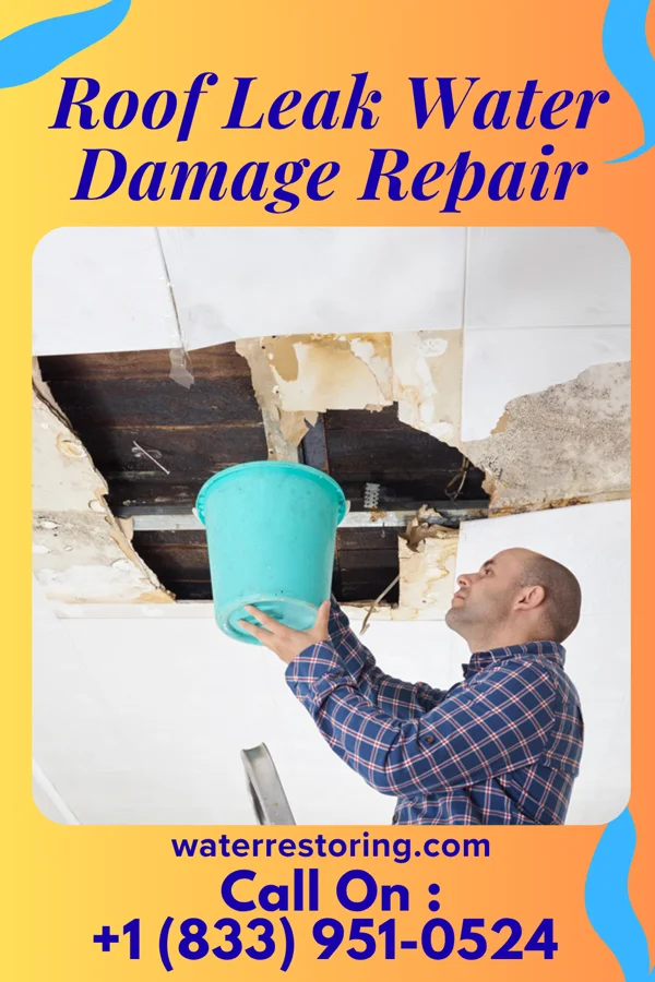 Roof Leak Water Damage Repair in Oak Lawn, IL