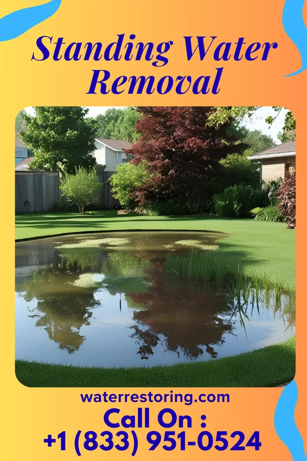 Standing Water Removal in Oak Lawn, IL